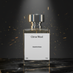 Jenta-Professional-Hero-Front-View-(Studio)-4k(5)